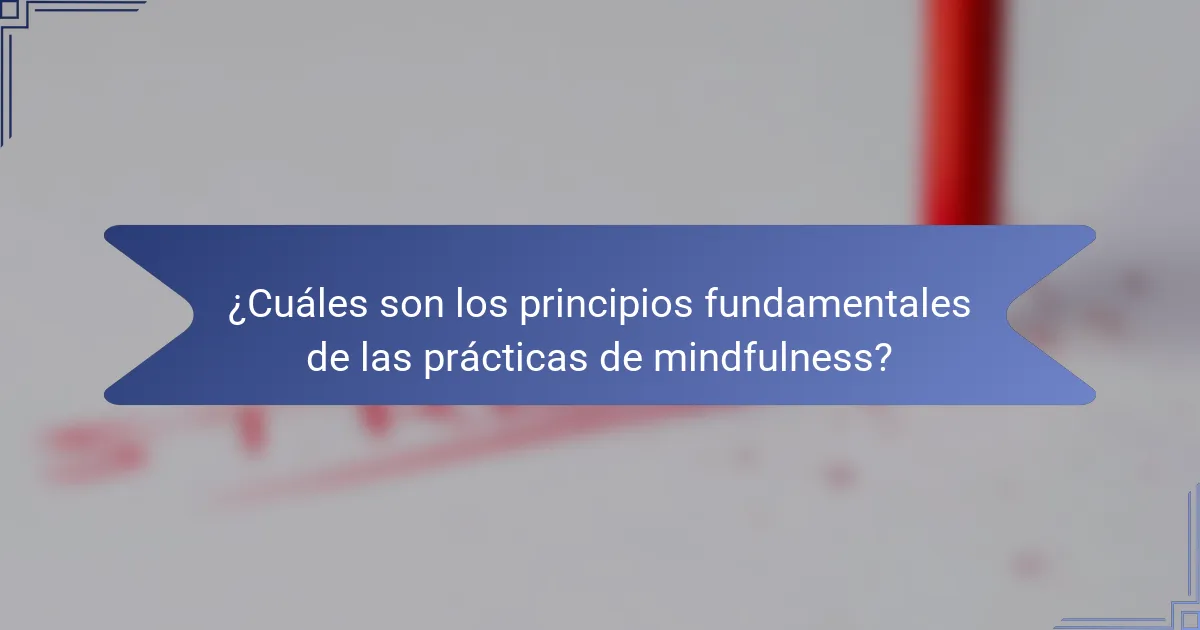 ¿Cuáles son los principios fundamentales de las prácticas de mindfulness?