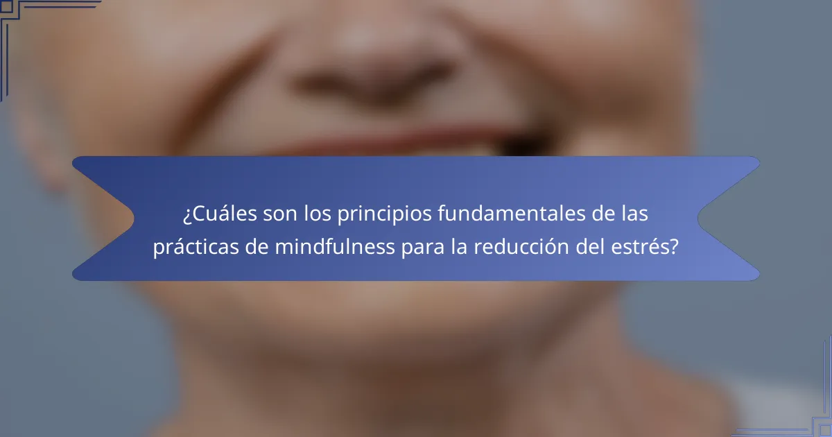 ¿Cuáles son los principios fundamentales de las prácticas de mindfulness para la reducción del estrés?
