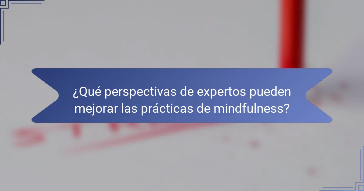 ¿Qué perspectivas de expertos pueden mejorar las prácticas de mindfulness?